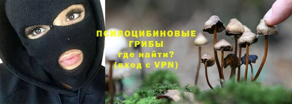 бутират Баксан