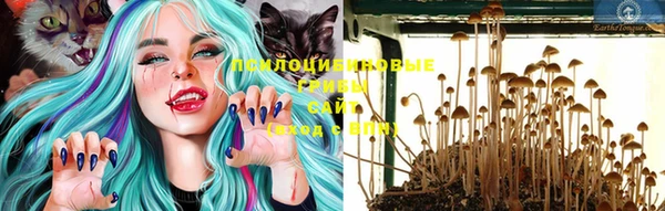 бутират Баксан