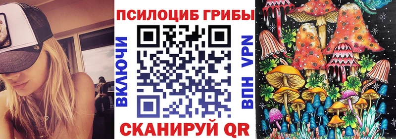 hydra зеркало Велиж Псилоцибиновые грибы Psilocybine cubensis